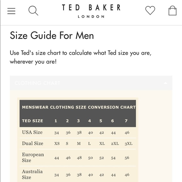 Ted Baker Blue Linen Collar Polo 6 - Picture 8 of 8